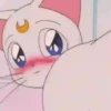 Gatita Luna🌜1🇲🇽Movi 23