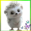 Animalitos Cute💞3🇵🇪Movi 19