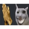 aaaaa 3 26