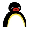 pingu mov 16