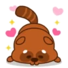 Mapache 16
