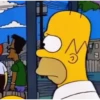 Homero Simpson 20