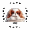 Perritos Tiernos ✺5🇻🇪Mov 27