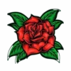 Flores y Rosas Rojas💞1🇵🇪Movi 24