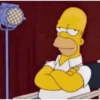 Los simpson 20