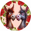 Animales Amorosos💞2🇵🇪Movi 25