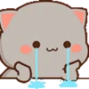 sad-nya 25
