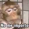No me importa