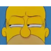 Homero Simpson 22