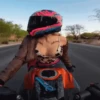 Love of motorcycles🏍️1🇲🇽Movi 24