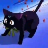 Gatita Luna🌜1🇲🇽Movi 26
