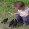 Niños con Mascotas👶🐥2🇲🇽&🇲🇽Movi 22
