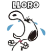 LLORO
