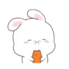 Bunny 🐰 2 Moví 🇲🇽 26