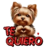 Te Amo 1 ❤ MOV 🇲🇽 27