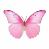 तितलियाँ 3 🦋 25