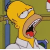 Homero Simpson 23