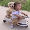Niños con Mascotas👶🐥2🇲🇽&🇲🇽Movi 23