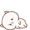 angry-nya 21