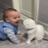 Niños con Mascotas👶🐥2🇲🇽&🇲🇽Movi 25