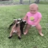 Niños con Mascotas👶🐥2🇲🇽&🇲🇽Movi 26
