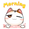 Buenos días🌞10🇲🇽Movi 29