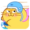 CUTE  FAT  CAT 27