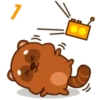 Mapache 17