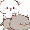 angry-nya 22