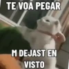 NO ME DEJES EN VISTO ✔️✔️😾 13