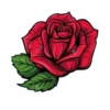 Flores y Rosas Rojas💞1🇵🇪Movi 27