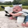 Niños con Mascotas👶🐥2🇲🇽&🇲🇽Movi 28