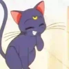 Gatita Luna🌜1🇲🇽Movi 29