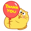 CUTE  FAT  CAT 28
