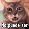 No puede ser