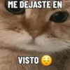 NO ME DEJES EN VISTO ✔️✔️😾 14