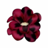 Flores y Rosas Rojas💞1🇵🇪Movi 29
