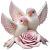 Surtidos Cute💗💞2🇵🇪Clásica 30