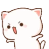 angry-nya 25