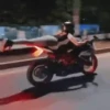 Love of motorcycles🏍️1🇲🇽Movi 29