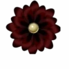 Flores y Rosas Rojas💞1🇵🇪Movi 30