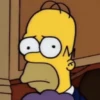 Homero Simpson 27