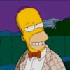 Homero Simpson 28