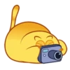 CUTE  FAT  CAT 30