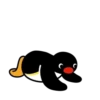 pingu mov 24