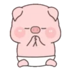 BABY PIG 5