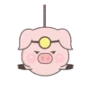 BABY PIG 6
