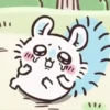 🧿chiikawa 2🐱🐻🐻‍❄️🐰 4