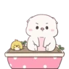 BABY PIG 7