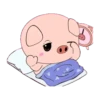 BABY PIG 8